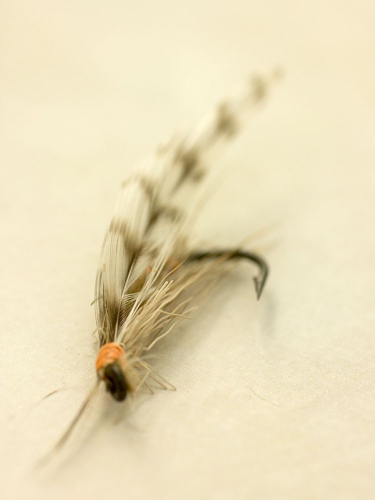 Art Print: Custom Macro Lures IX (ASH)