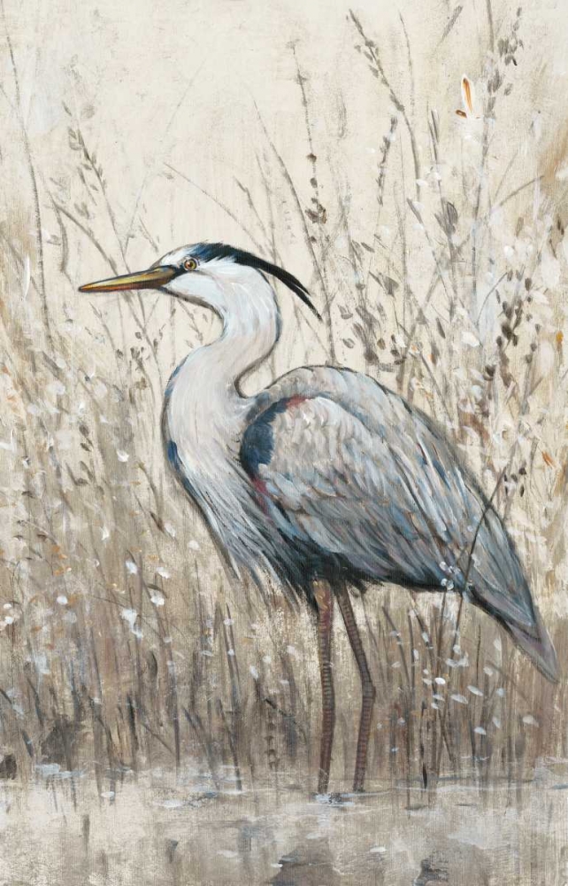 Wall Art Painting id:117692, Name: Hunt in Shallow Waters II, Artist: OToole, Tim