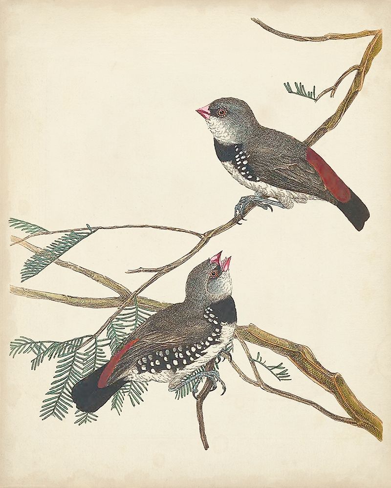 Similar wall art painting: 275421