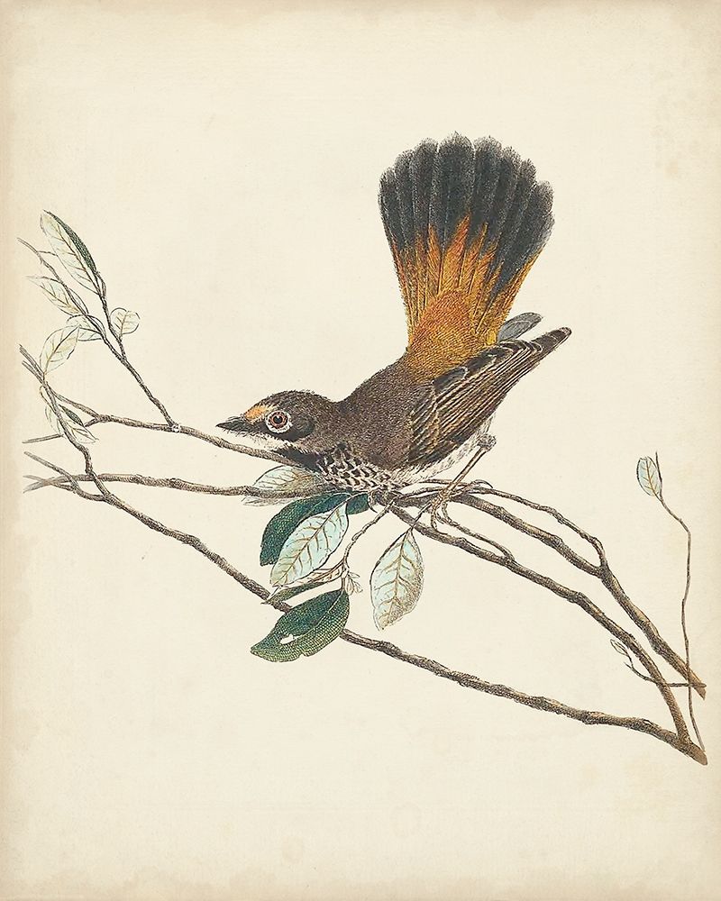 Similar wall art painting: 275422