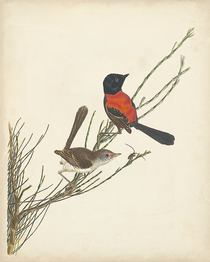 Wall Art Painting id:275423, Name: Graceful Birds III, Artist: Vision Studio 