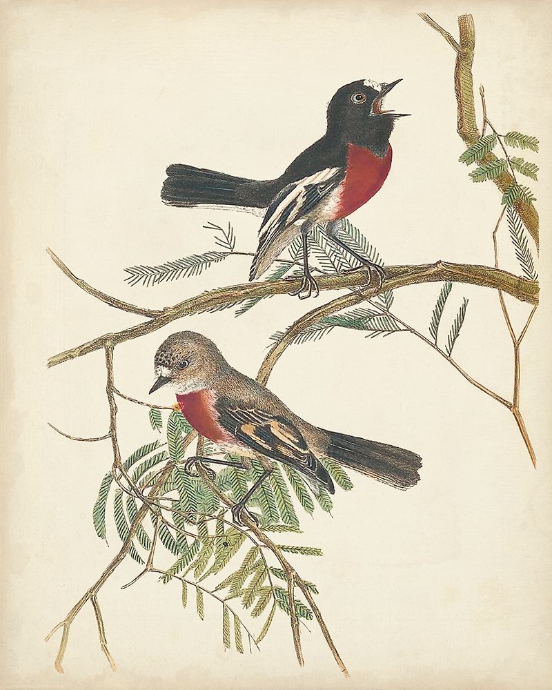 Similar wall art painting: 275424