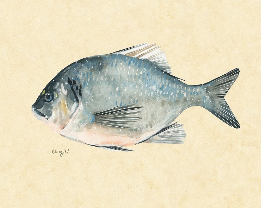 Wall Art Painting id:275649, Name: Catch of the Day I, Artist: Scarvey, Emma