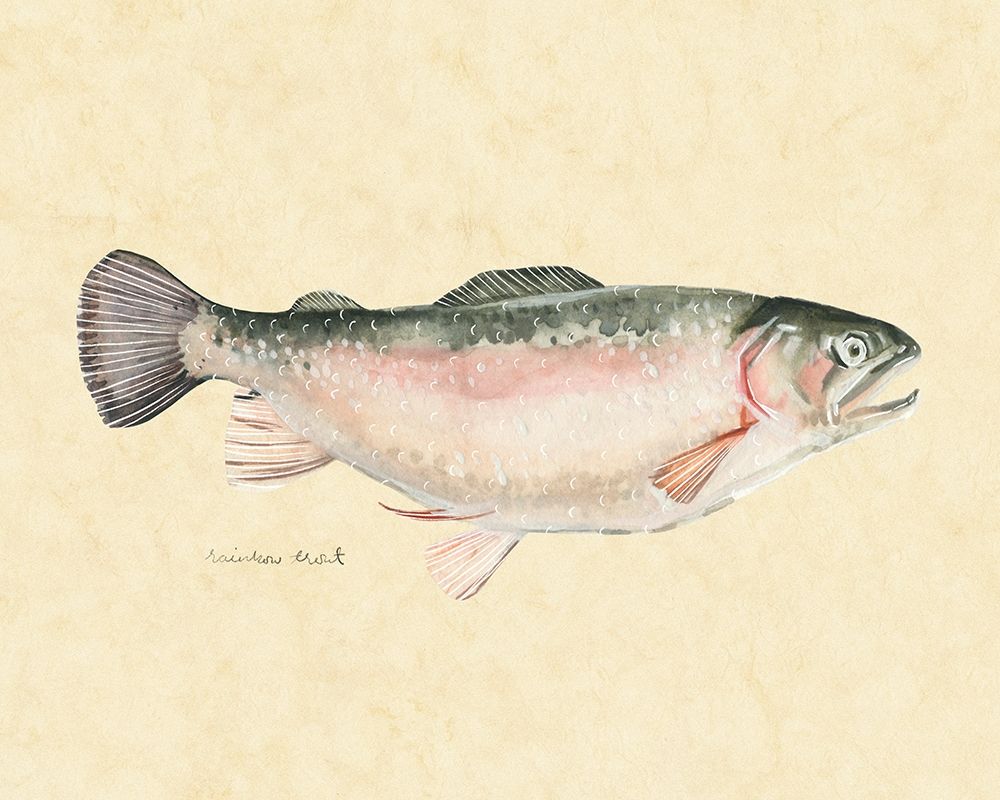 Wall Art Painting id:275651, Name: Catch of the Day III, Artist: Scarvey, Emma