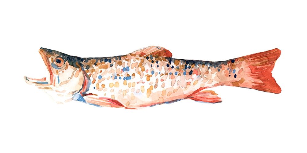 Wall Art Painting id:275655, Name: Freckled Trout I, Artist: Scarvey, Emma