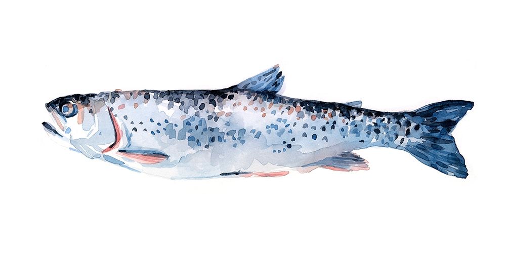 Wall Art Painting id:275657, Name: Freckled Trout III, Artist: Scarvey, Emma