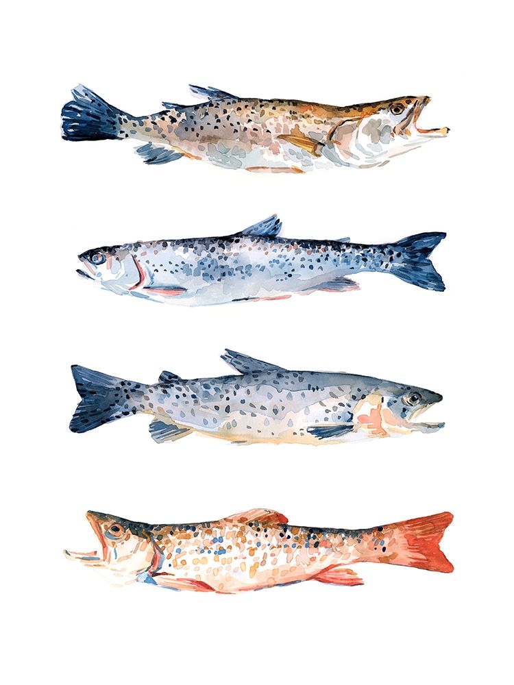 Wall Art Painting id:275715, Name: Stacked Trout I, Artist: Scarvey, Emma