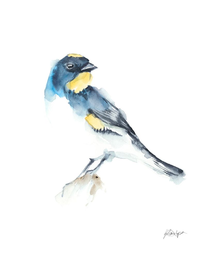 Wall Art Painting id:275774, Name: Watercolor Songbirds III, Artist: Harper, Ethan