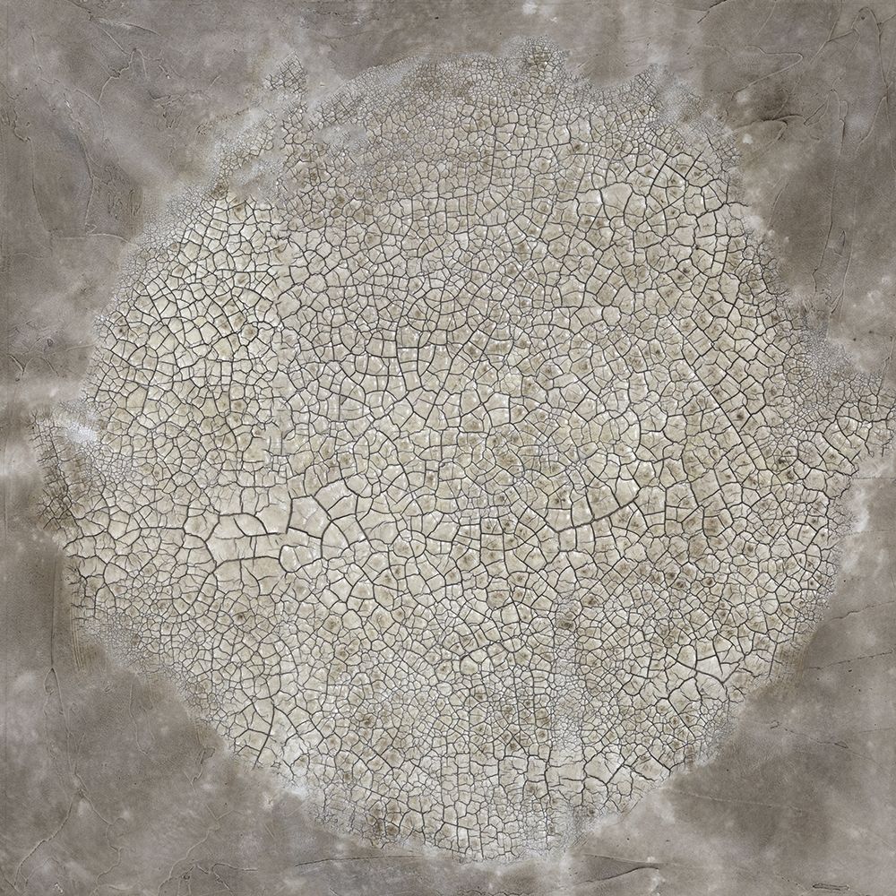 Wall Art Painting id:300971, Name: Parched Earth, Artist: Willett, Michael