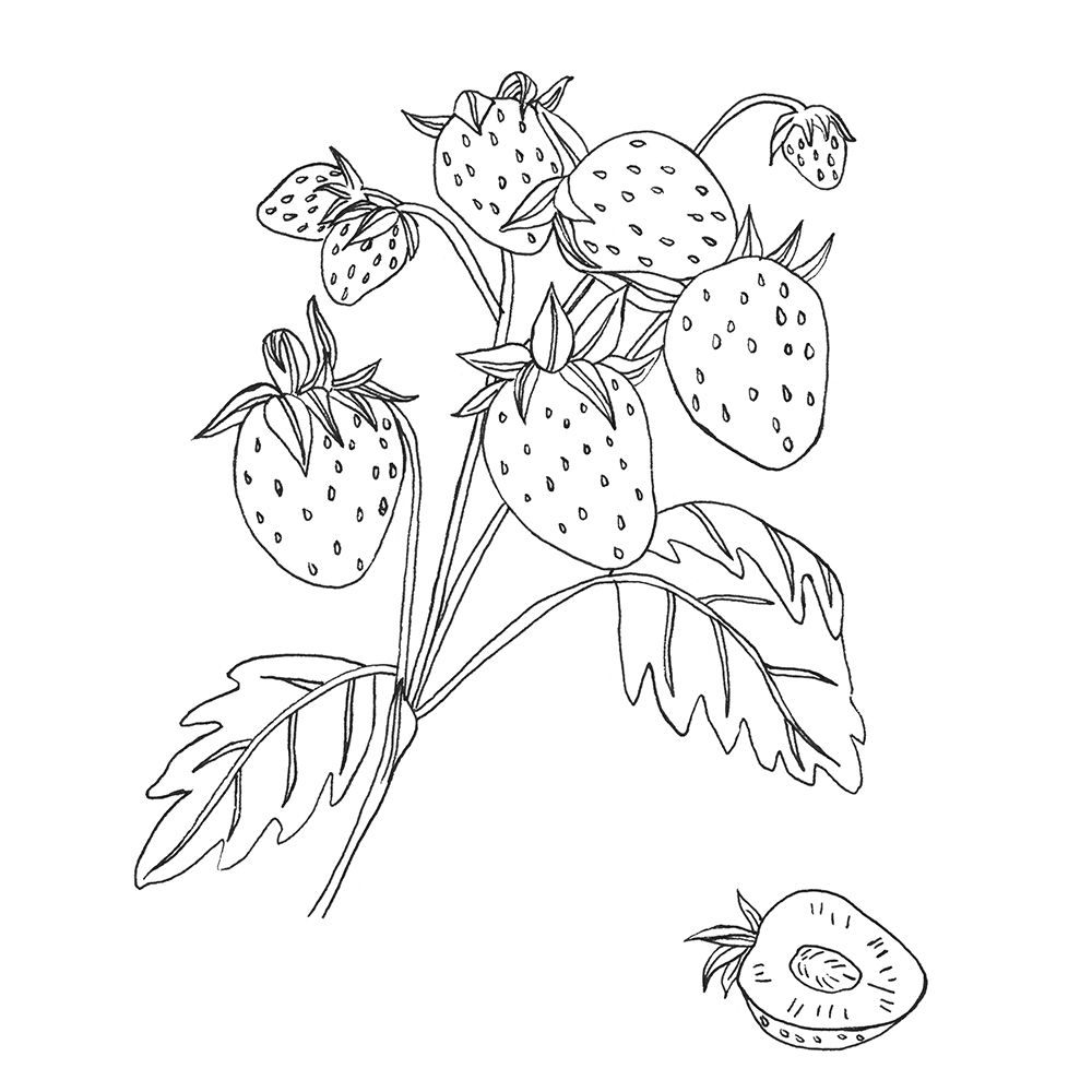 Similar wall art painting: 300991