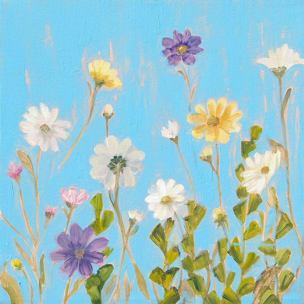 Wall Art Painting id:301908, Name: Wild Flowers on Cerulean III, Artist: Iafrate, Sandra