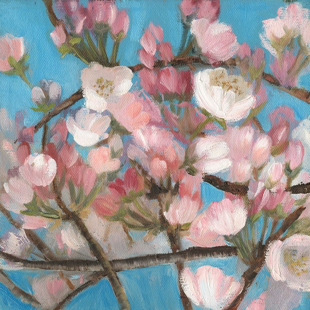 Wall Art Painting id:302054, Name: Cherry Blossoms I, Artist: Iafrate, Sandra