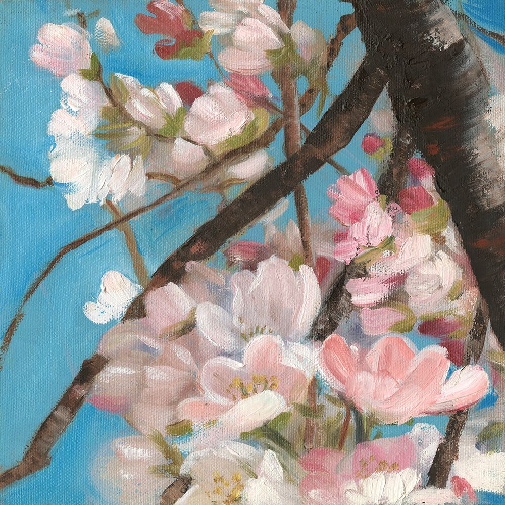 Wall Art Painting id:302055, Name: Cherry Blossoms II, Artist: Iafrate, Sandra