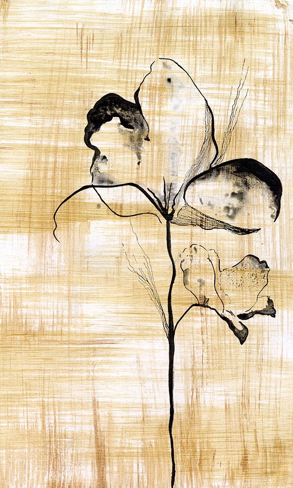 Wall Art Painting id:302159, Name: Gilded Beauty I, Artist: Liama, Lily
