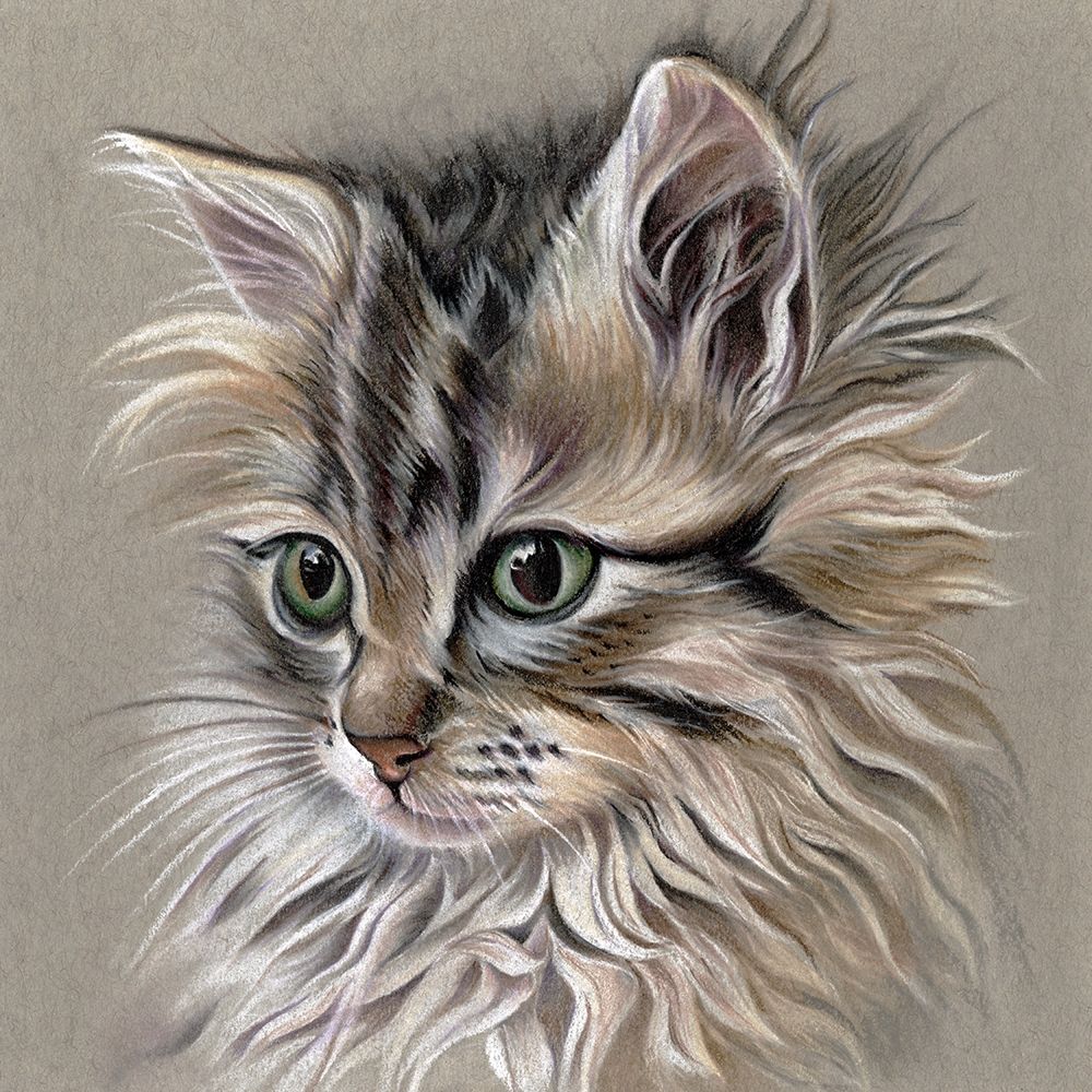 Wall Art Painting id:302162, Name: Kitten Portrait I, Artist: Liama, Lily