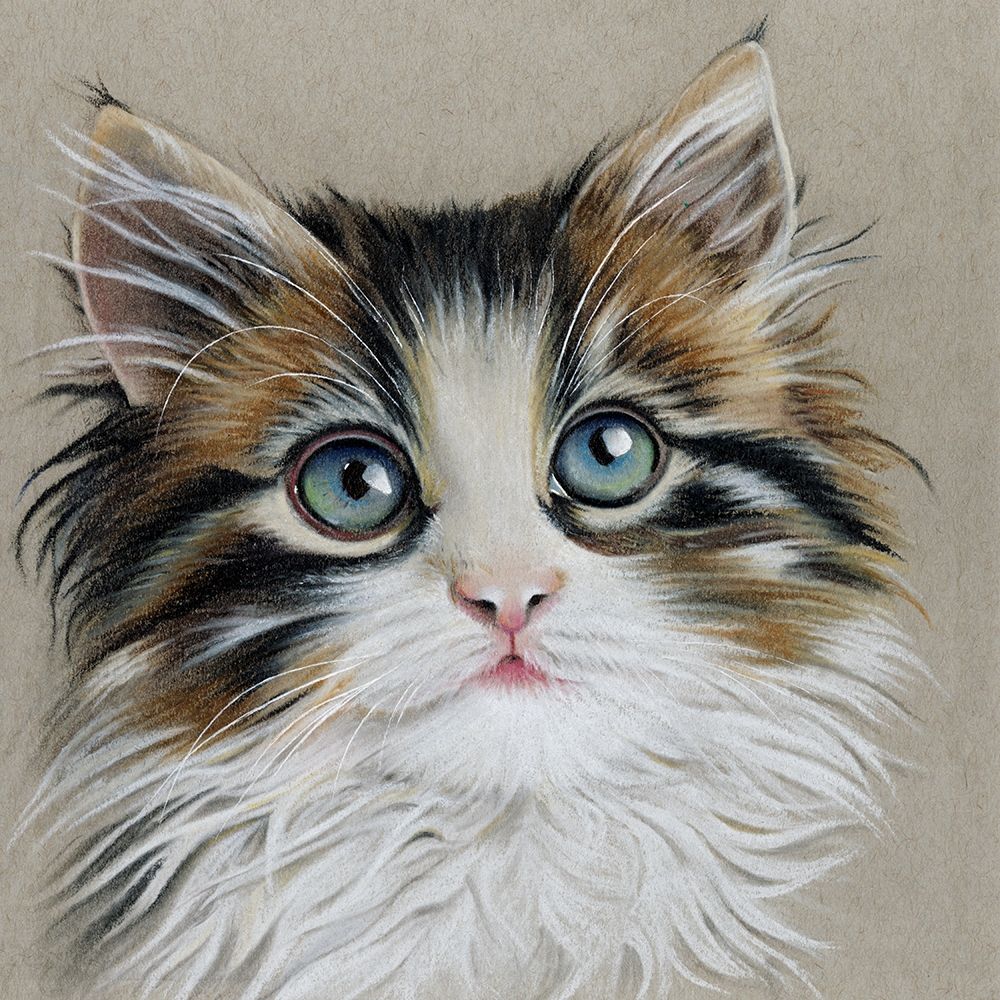 Wall Art Painting id:302163, Name: Kitten Portrait II, Artist: Liama, Lily