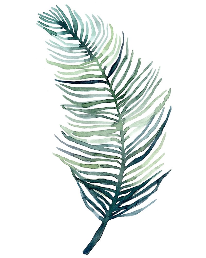 Wall Art Painting id:302231, Name: Watercolor Palm Leaves II, Artist: Scarvey, Emma