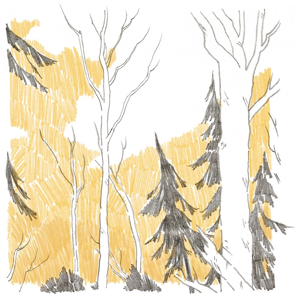 Similar wall art painting: 313496