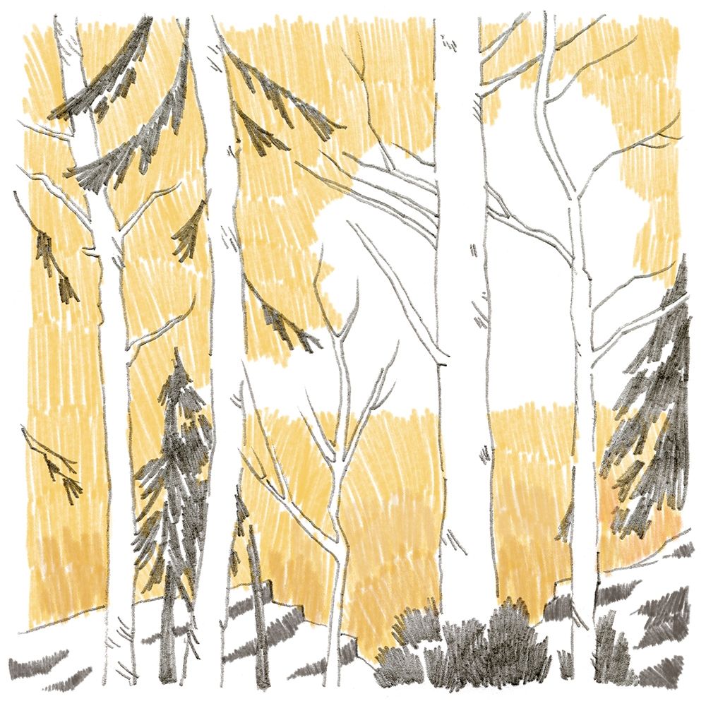 Similar wall art painting: 313497