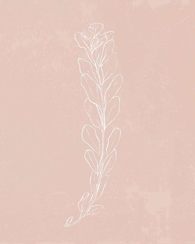 Wall Art Painting id:310669, Name: Blush Bloom II, Artist: Warren, Annie