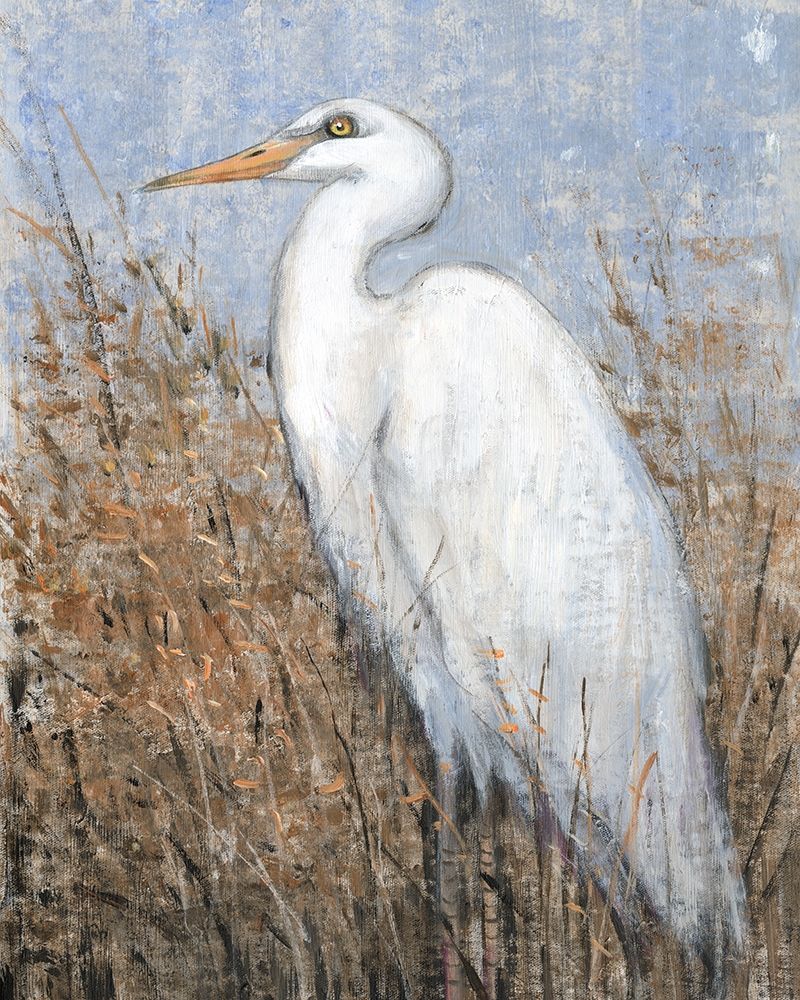 Wall Art Painting id:313899, Name: White Heron II, Artist: OToole, Tim