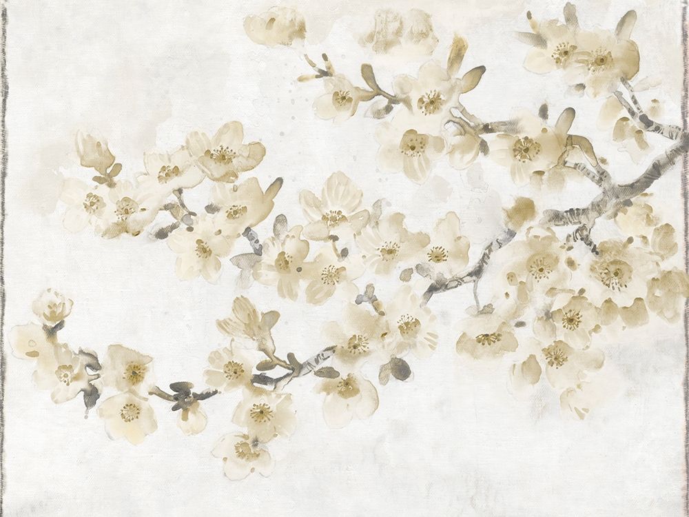 Wall Art Painting id:329270, Name: Neutral Cherry Blossom Composition I, Artist: OToole, Tim