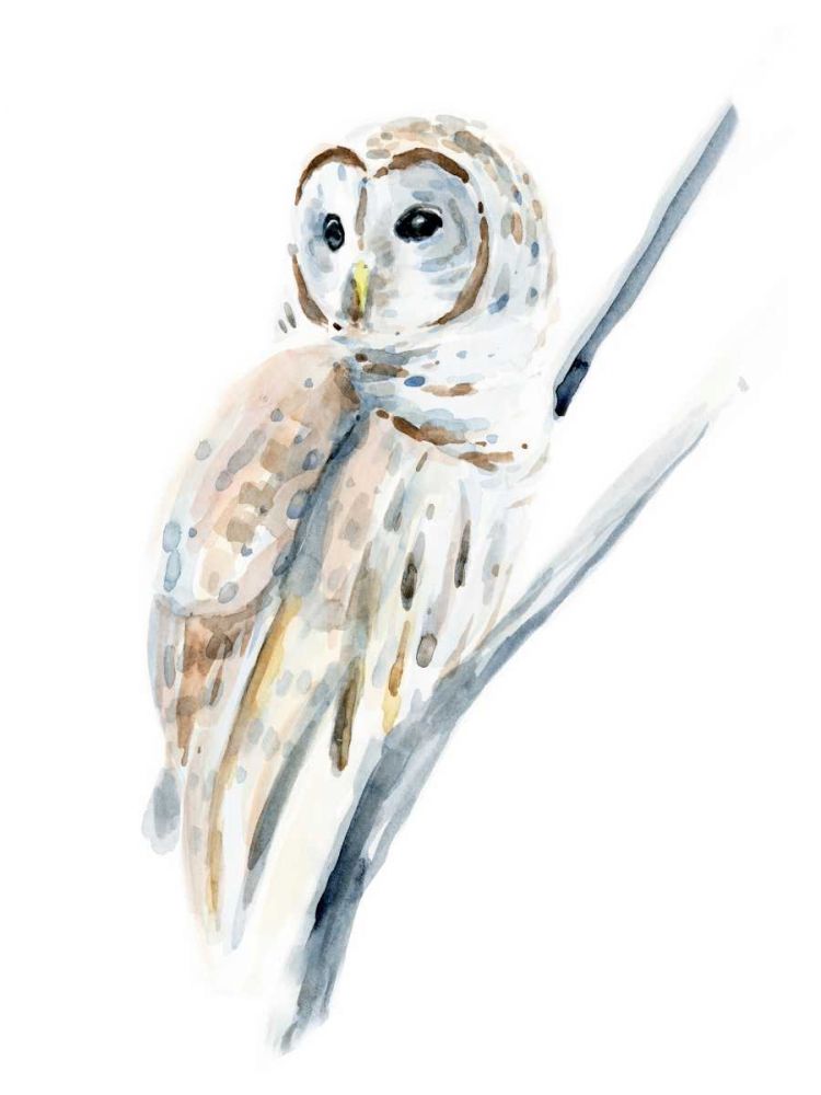 Wall Art Painting id:328112, Name: Arctic Owl I, Artist: Warren, Annie