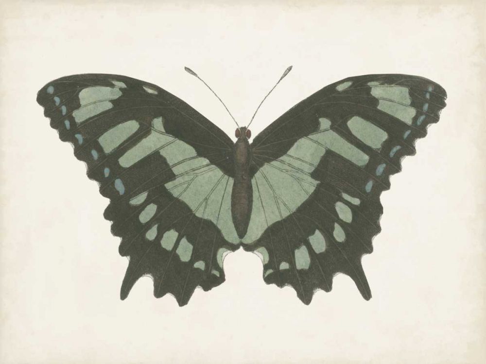 Similar wall art painting: 328612