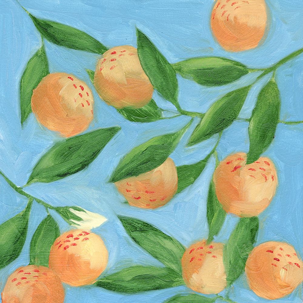 Wall Art Painting id:339562, Name: Sweet Tangerine II, Artist: Wang, Melissa