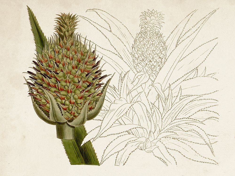 Similar wall art painting: 340155