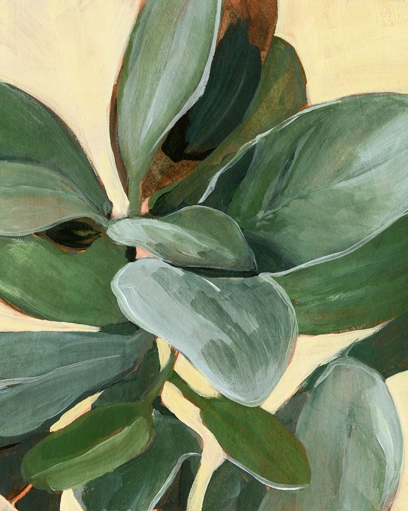 Wall Art Painting id:340243, Name: Plant Study I, Artist: Warren, Annie