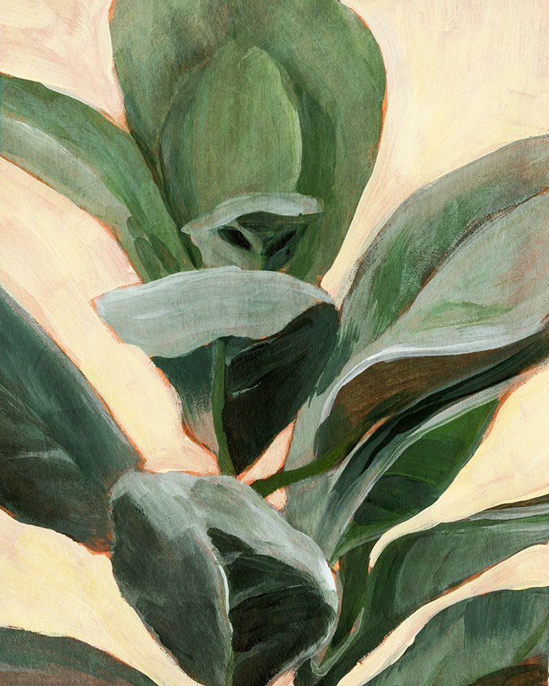 Wall Art Painting id:340244, Name: Plant Study II, Artist: Warren, Annie