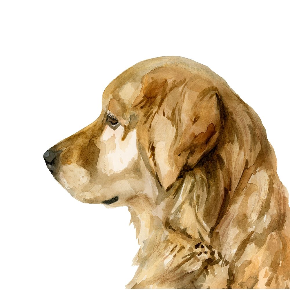 Wall Art Painting id:340489, Name: Pet Profile I, Artist: Barnes, Victoria