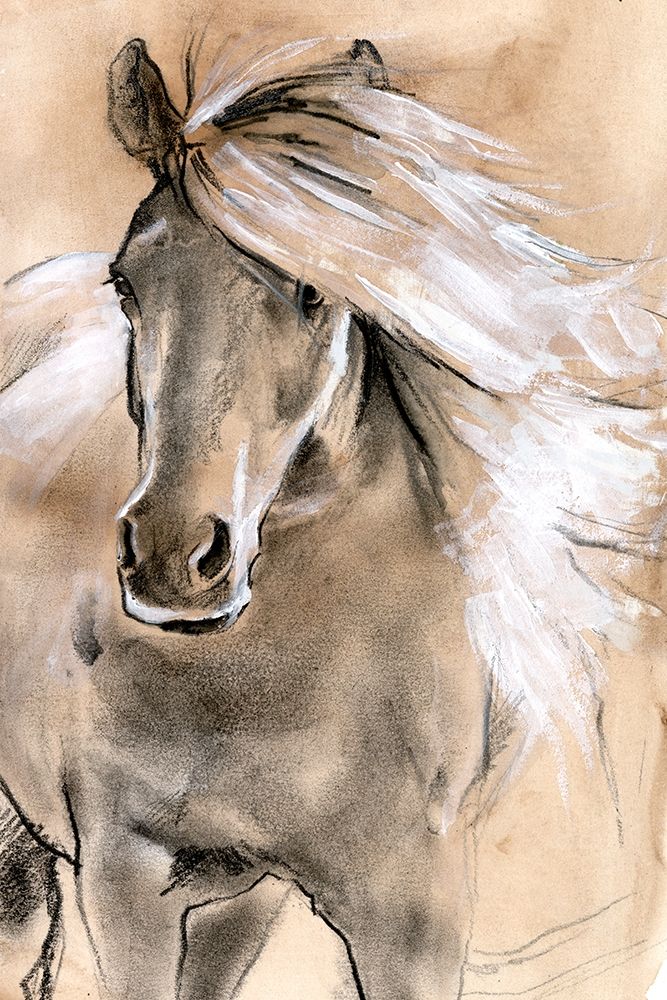 Wall Art Painting id:340819, Name: Sketched Horse I, Artist: Parker, Jennifer Paxton