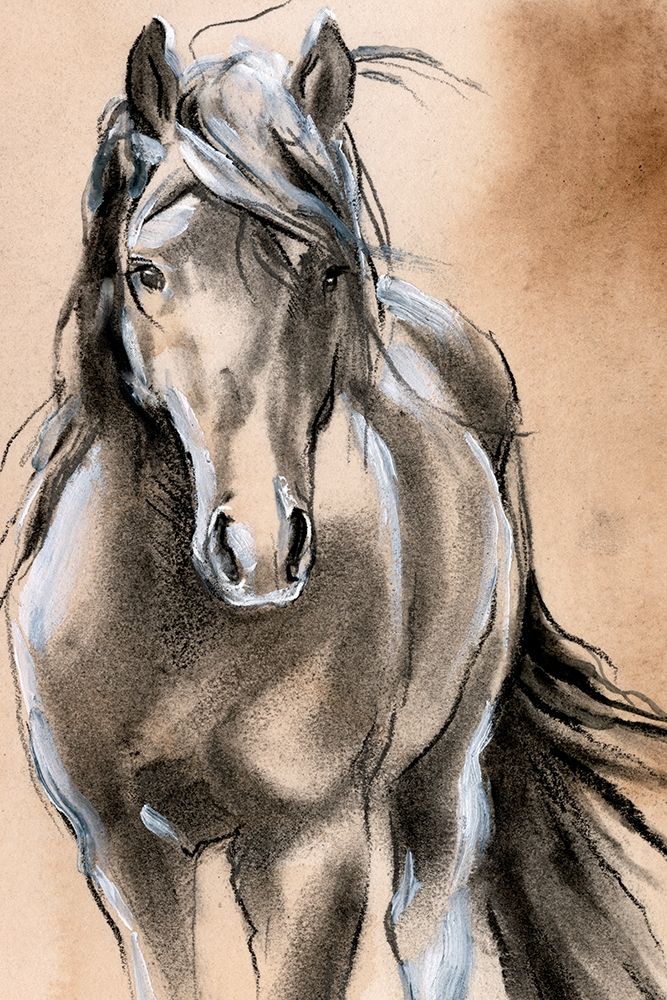 Wall Art Painting id:340820, Name: Sketched Horse II, Artist: Parker, Jennifer Paxton