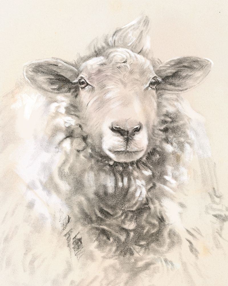 Wall Art Painting id:340875, Name: Sketched Farm Portraits I, Artist: Parker, Jennifer Paxton