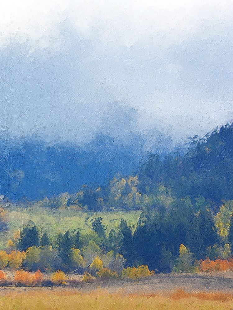 Wall Art Painting id:369414, Name: Mountain Mist II, Artist: Vest, Chris