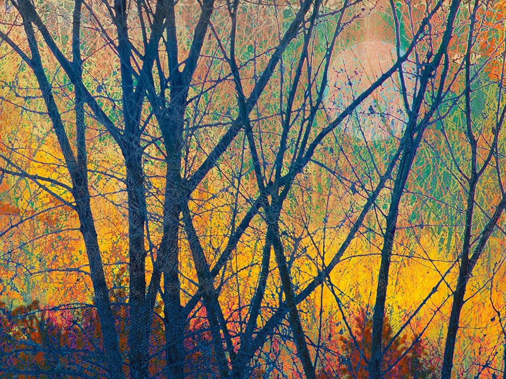 Wall Art Painting id:369415, Name: Meadow Trees I, Artist: Vest, Chris