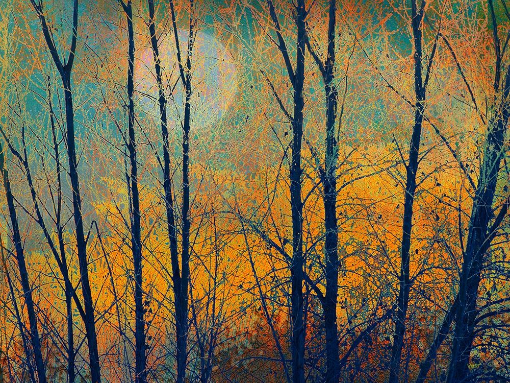 Wall Art Painting id:369416, Name: Meadow Trees II, Artist: Vest, Chris