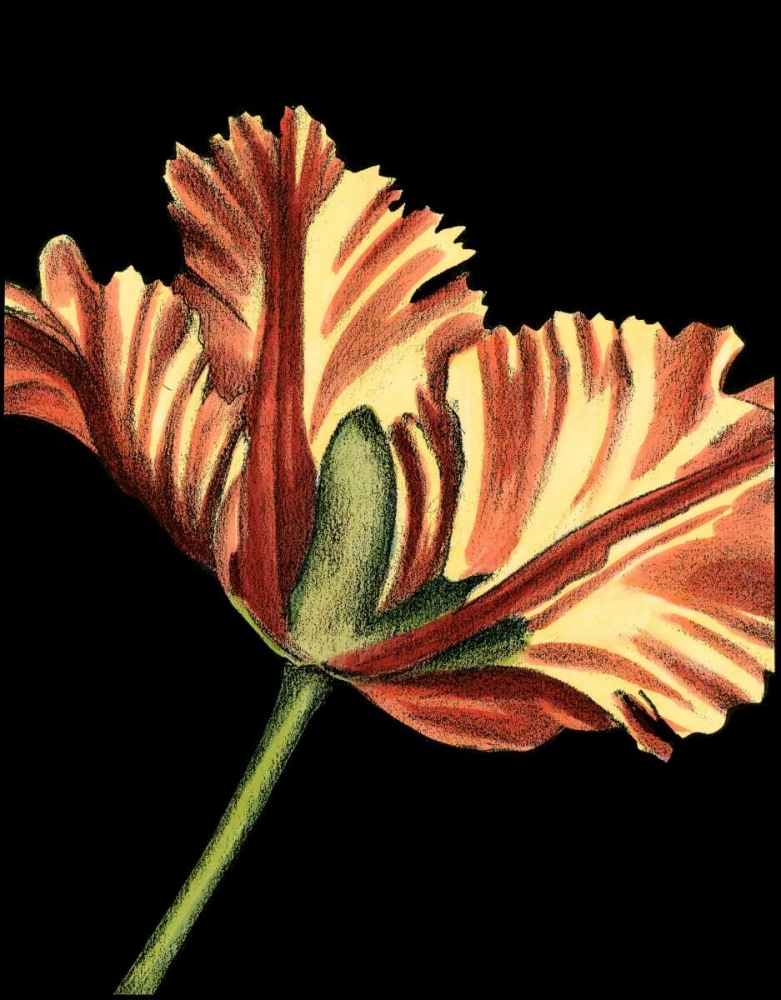 Similar wall art painting: 49581