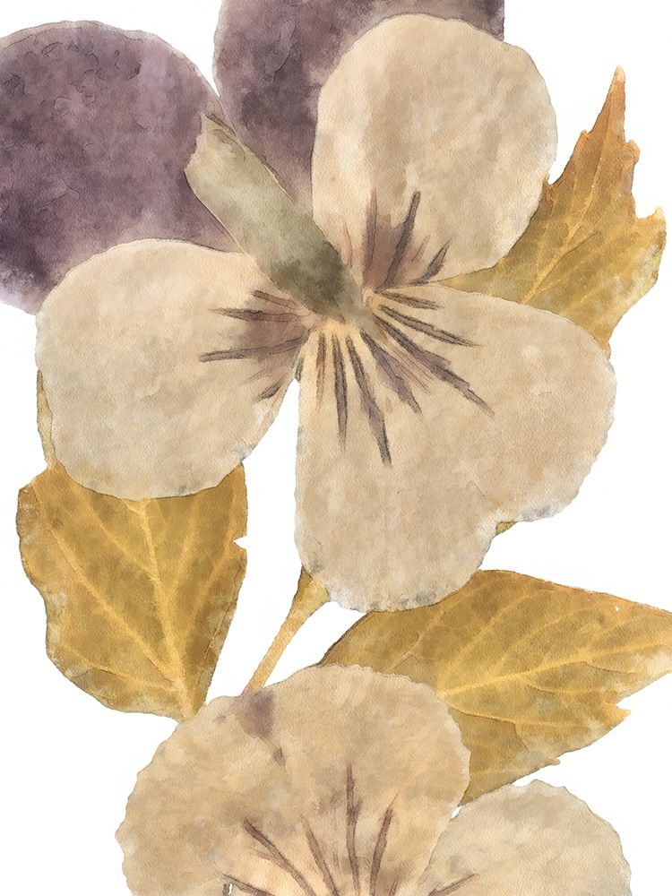 Wall Art Painting id:418118, Name: Neutral Pansy I, Artist: Saunders, Alonzo