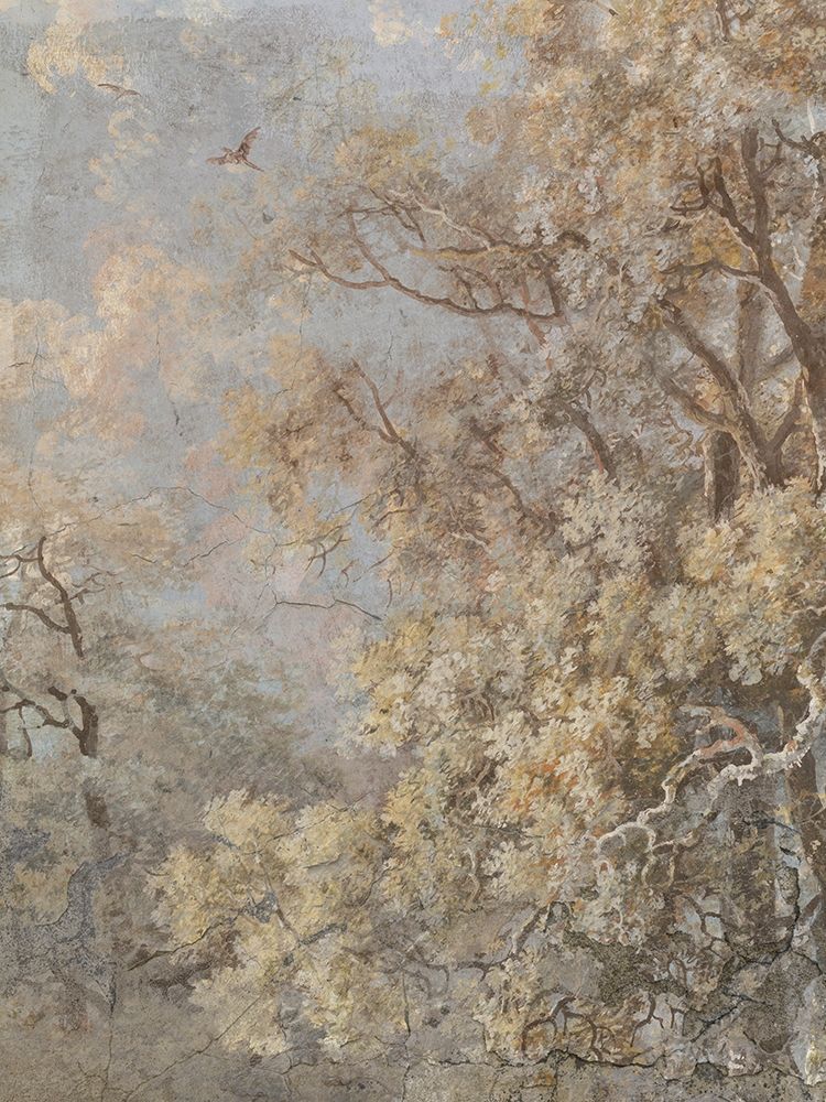 Wall Art Painting id:419097, Name: Forest Fresco II, Artist: Barnes, Victoria