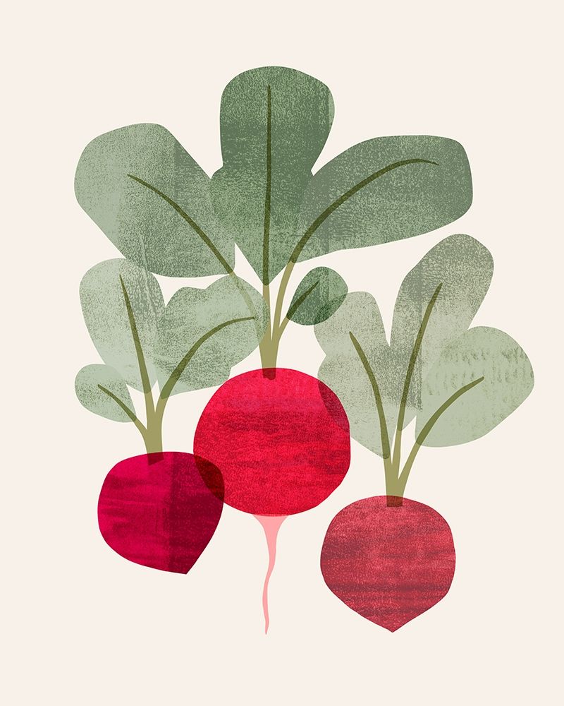 Wall Art Painting id:432408, Name: Organic Veg I, Artist: Barnes, Victoria