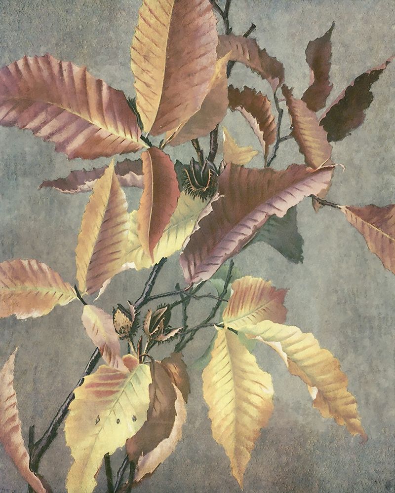 Wall Art Painting id:433608, Name: Ancient Autumn I, Artist: Hunziker, Steve