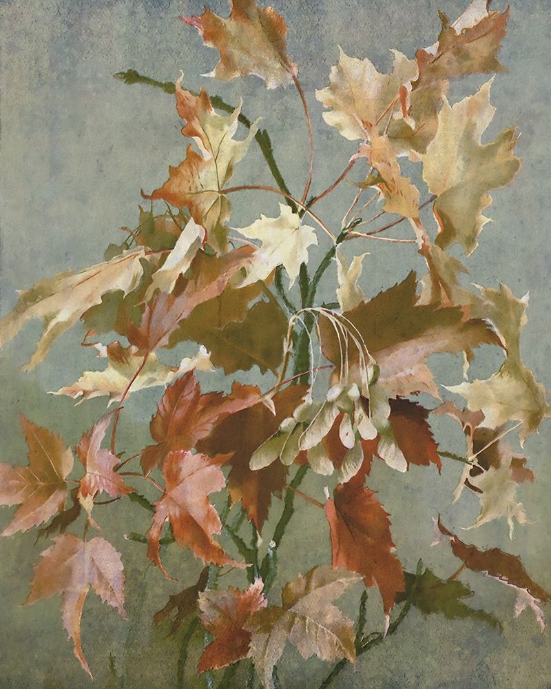 Wall Art Painting id:433609, Name: Ancient Autumn II, Artist: Hunziker, Steve