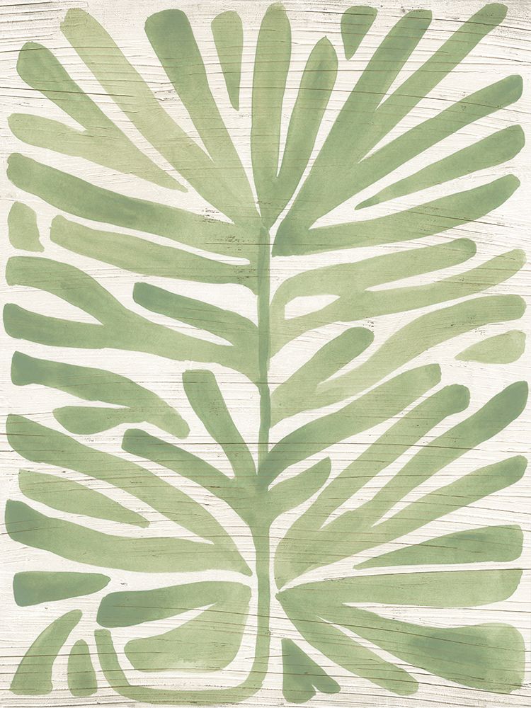 Wall Art Painting id:444506, Name: Driftwood Palm Leaf IV, Artist: Vess, June Erica