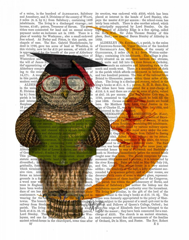 Wall Art Painting id:67321, Name: Owl On The Moon, Artist: Fab Funky
