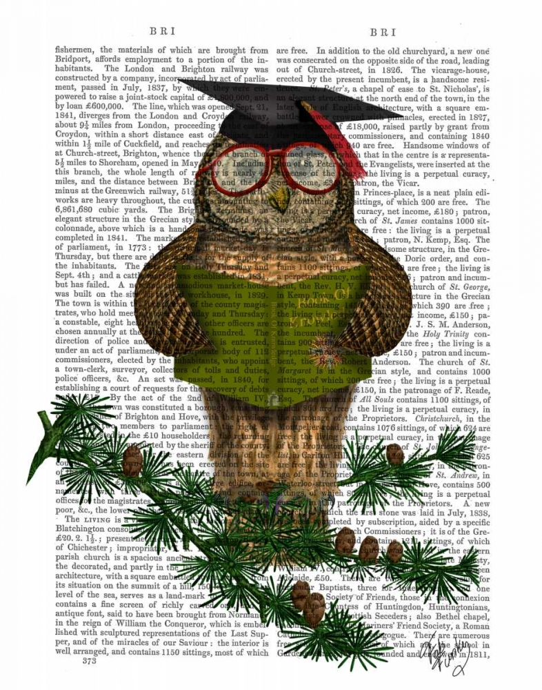 Wall Art Painting id:67323, Name: Owl Reading On Branch, Artist: Fab Funky