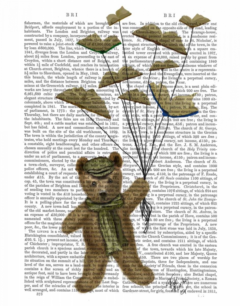 Wall Art Painting id:67324, Name: Bear with Book Butterflies, Artist: Fab Funky