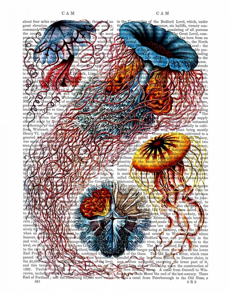 Wall Art Painting id:67679, Name: Sea Anemone, Artist: Fab Funky